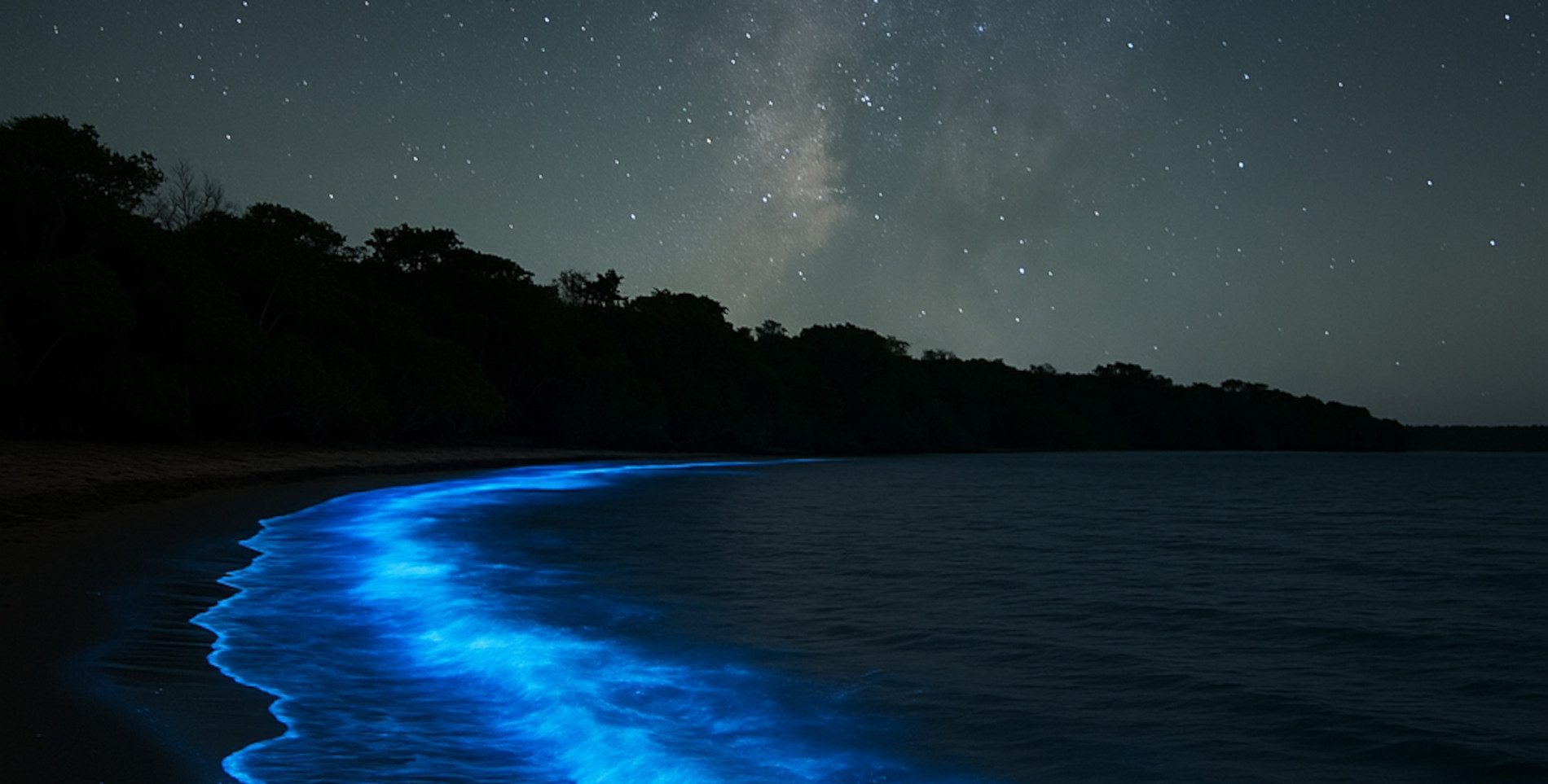 Bioluminescent blue water glowing at night for a La Parguera bio bay tour